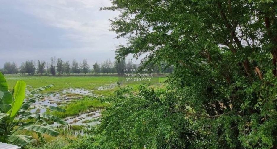 Reihenhaus zum Kauf mit 4 Zimmer in Bang Bua Thong, Nonthaburi