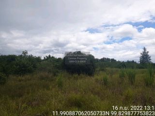 Продажа 1 кровать Участок в Mueang Prachuap Khiri Khan, Прачуапкхирикхан