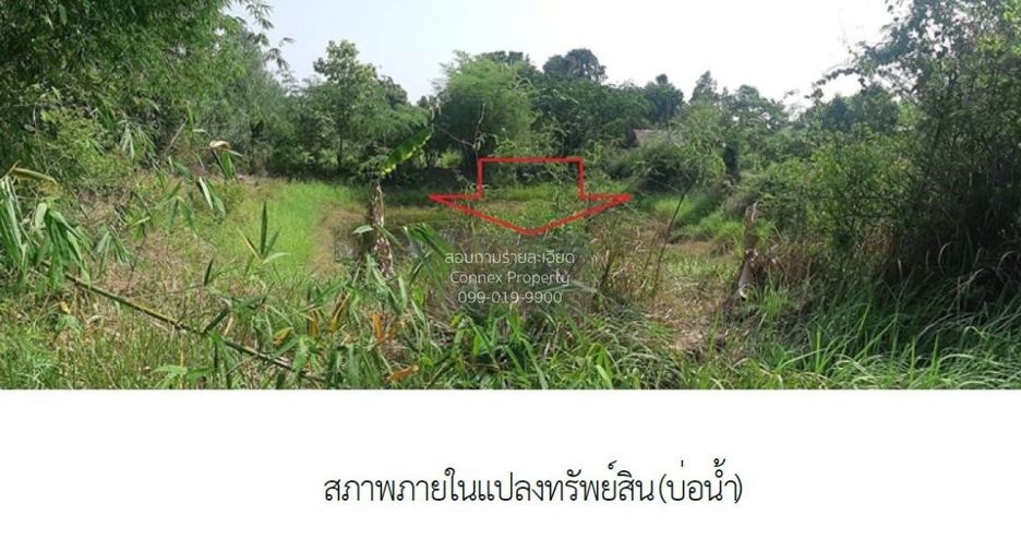 ขาย 2 ห้องนอน บ้านเดี่ยว ใน พังโคน, สกลนคร
