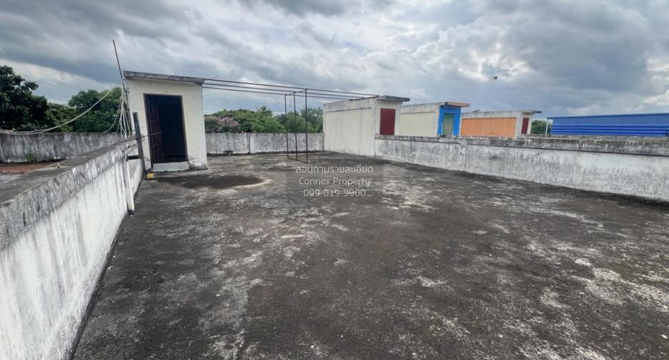 Продажа 3 спальни торговое помещение в Wang Thong, Пхитсанулок