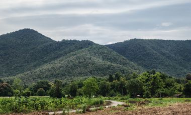 Grundstück zum Kauf in Doi Saket, Chiang Mai