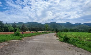 Grundstück zum Kauf in Doi Saket, Chiang Mai