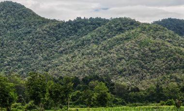 Grundstück zum Kauf in Doi Saket, Chiang Mai
