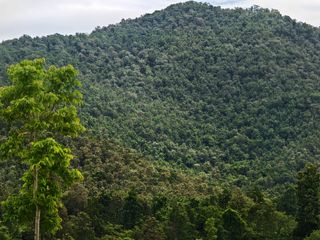 For sale land in Doi Saket, Chiang Mai