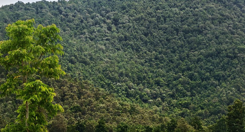 出售 土地 在 Doi Saket, Chiang Mai