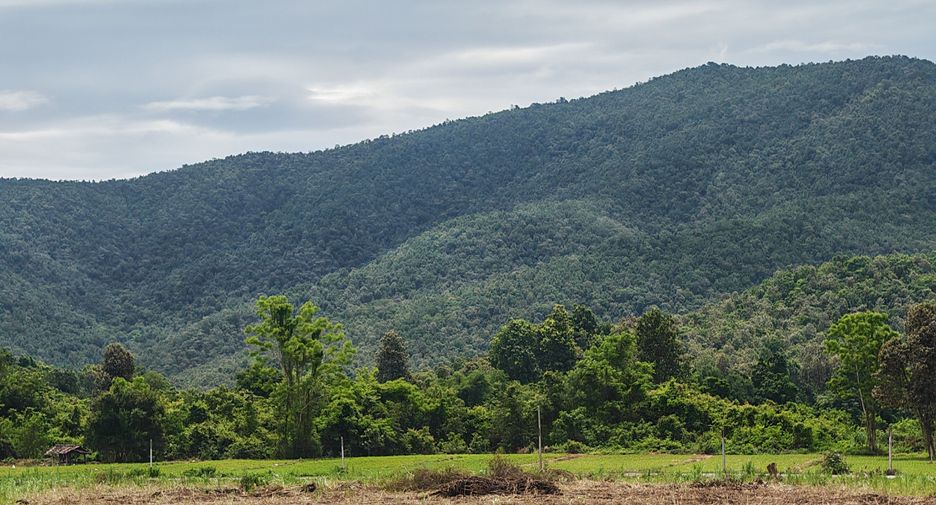 出售 土地 在 Doi Saket, Chiang Mai