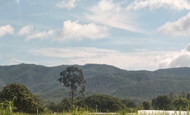 Grundstück zum Kauf in San Sai, Chiang Mai