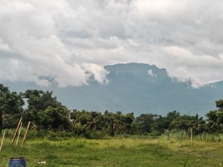 For sale land in San Sai, Chiang Mai