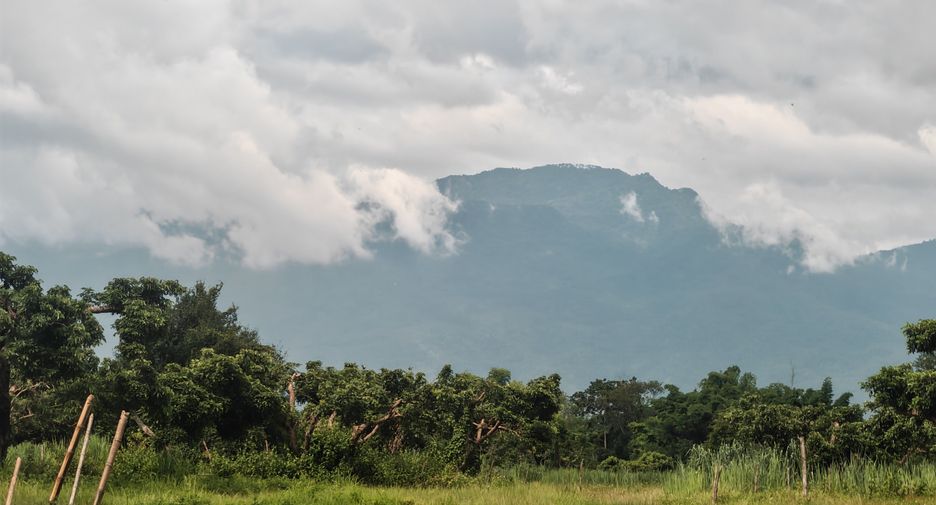 Grundstück zum Kauf in San Sai, Chiang Mai