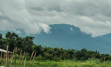 Grundstück zum Kauf in San Sai, Chiang Mai