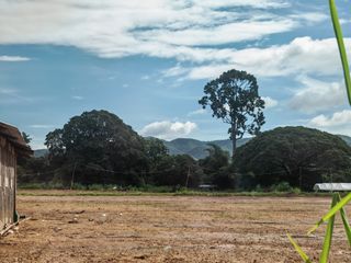 For sale land in San Sai, Chiang Mai