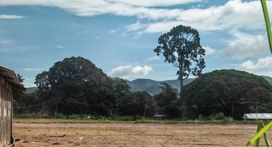 Grundstück zum Kauf in San Sai, Chiang Mai