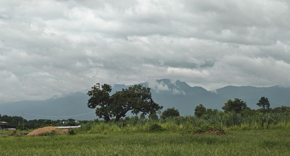 Grundstück zum Kauf in San Sai, Chiang Mai