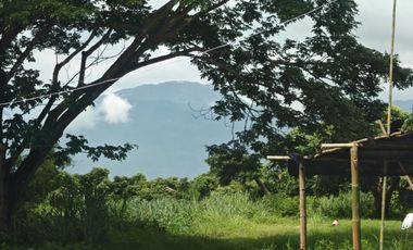 Grundstück zum Kauf in San Sai, Chiang Mai