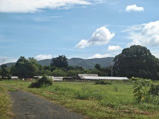 For sale land in San Sai, Chiang Mai