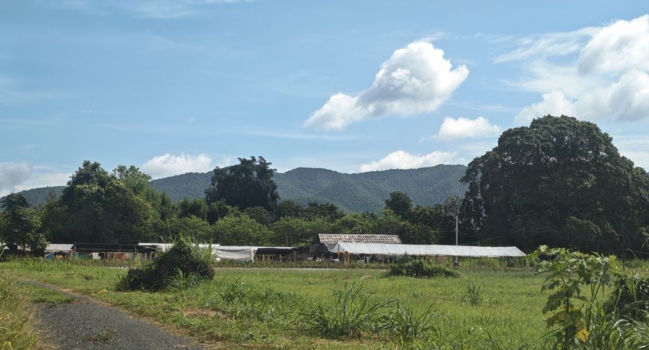 Grundstück zum Kauf in San Sai, Chiang Mai