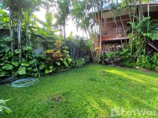 For rent 3 ベッドルーム house in Mae Rim, Chiang Mai