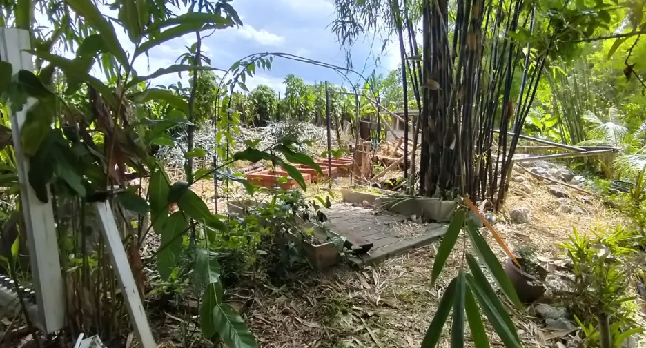 For sale land in Mueang Chiang Rai, Chiang Rai