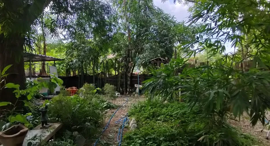 For sale land in Mueang Chiang Rai, Chiang Rai