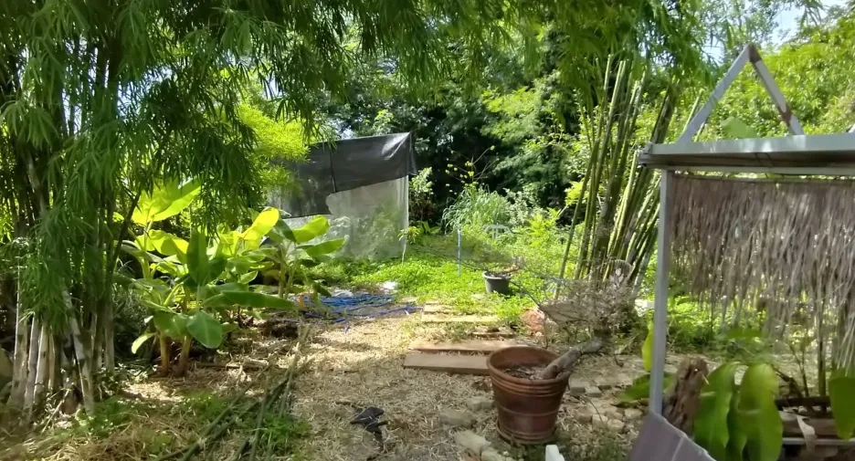 For sale land in Mueang Chiang Rai, Chiang Rai