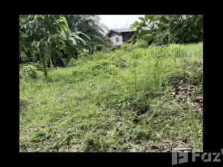 For sale land in Mueang Rayong, Rayong