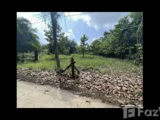 For sale land in Mueang Rayong, Rayong