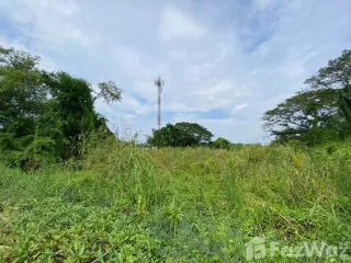 For sale land in Phutthamonthon, Nakhon Pathom