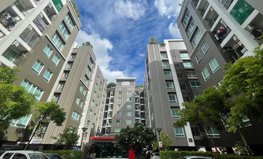 Продажа 1 кровать кондо в Bang Kruai, Нонтабури