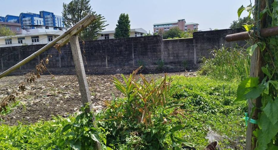 For sale land in Prawet, Bangkok