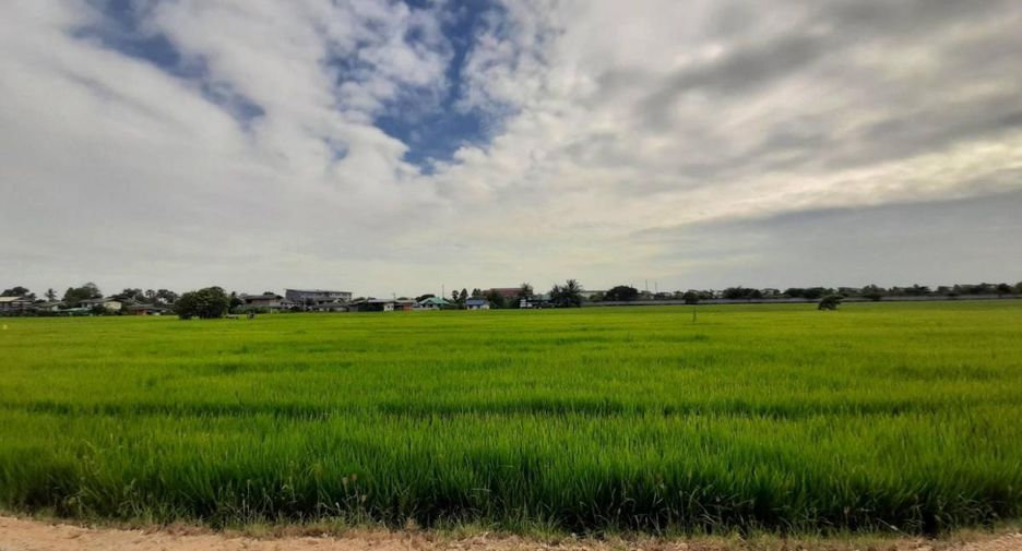出售 土地 在 Lam Luk Ka, Pathum Thani