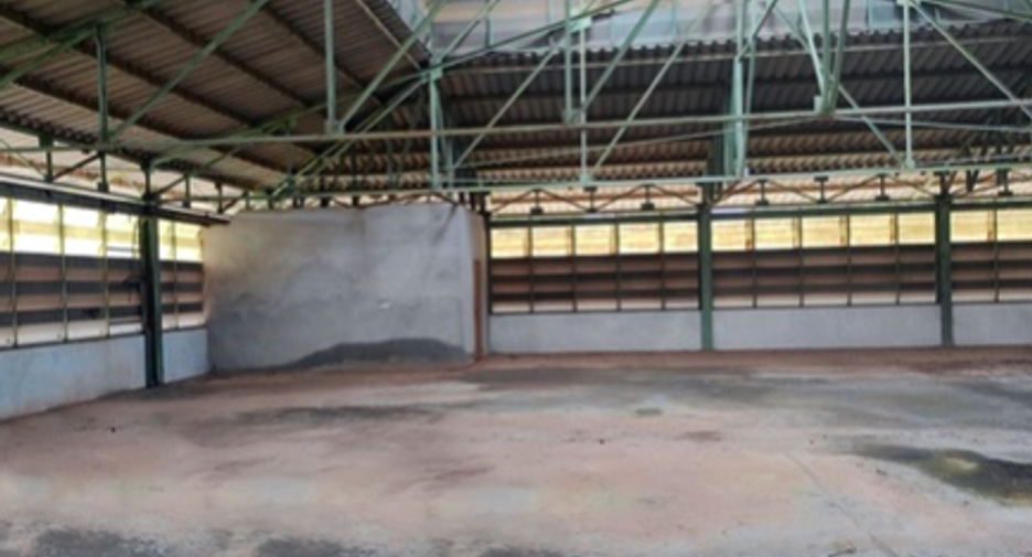 ขาย โกดัง ใน พิบูลมังสาหาร, อุบลราชธานี