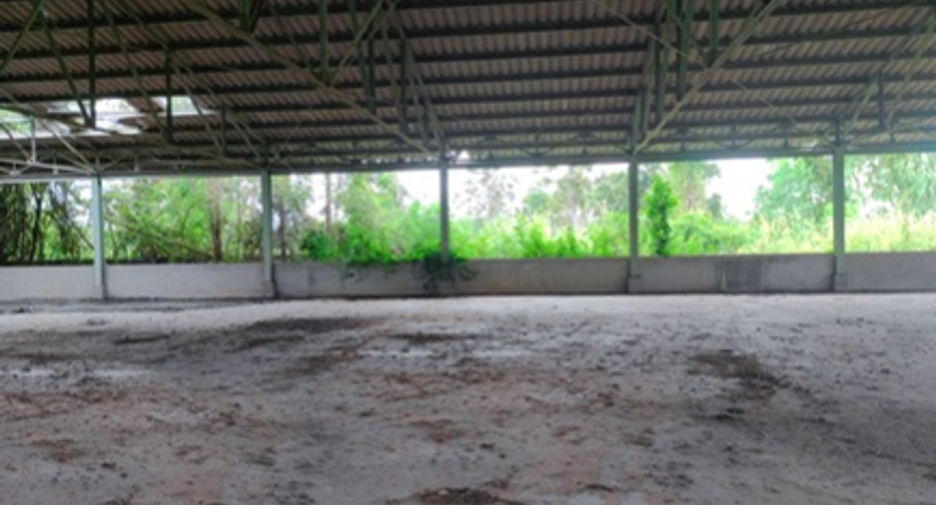 ขาย โกดัง ใน พิบูลมังสาหาร, อุบลราชธานี