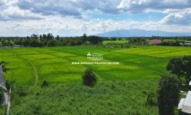 For sale land in Doi Saket, Chiang Mai