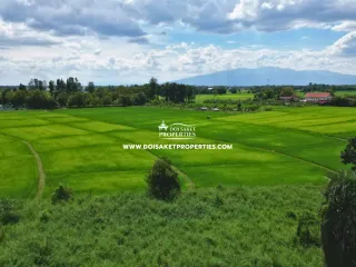For sale land in Doi Saket, Chiang Mai
