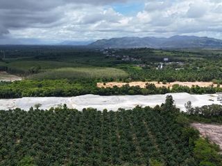 Продажа Участок в Takua Thung, Пханга