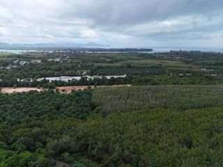 Продажа Участок в Takua Thung, Пханга