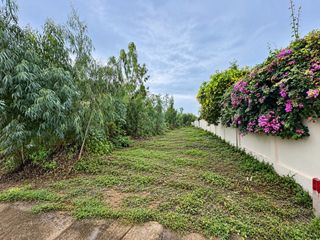 出售 土地 在 Pran Buri, 班武里府