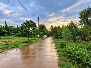 出售 土地 在 Pran Buri, 班武里府