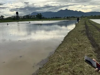 For sale land in Mae Sai, Chiang Rai
