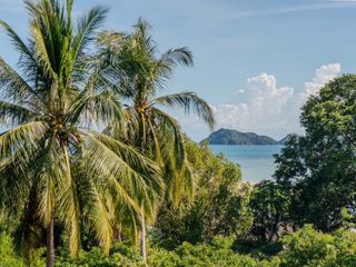 For sale 4 bedrooms villa in Ko Pha-ngan, Surat Thani