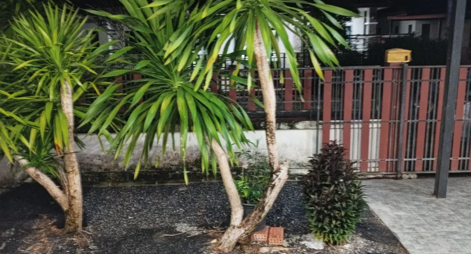 For rent 2 ベッドルーム house in Mueang Krabi, Krabi