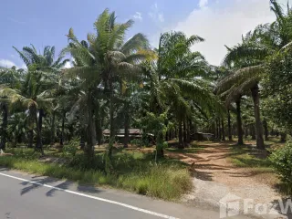 Продажа Участок в Takua Thung, Пханга