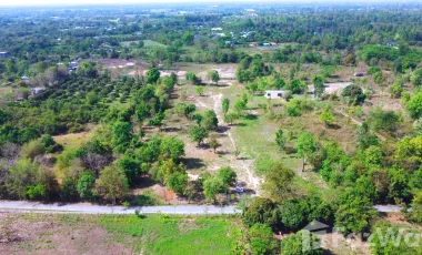 ขาย ที่ดิน ใน หางดง, เชียงใหม่
