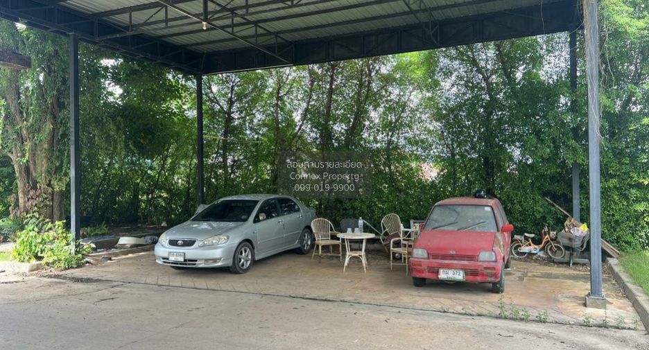 ขาย 1 เตียง ที่ดิน ใน วังทอง, พิษณุโลก