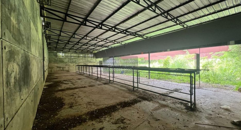 ขาย 1 เตียง ที่ดิน ใน วังทอง, พิษณุโลก