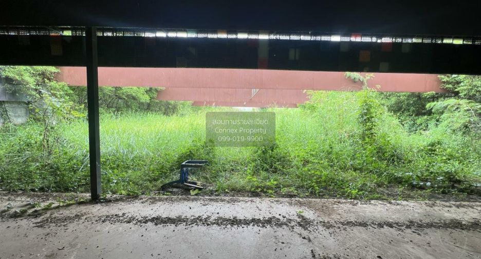 ขาย 1 เตียง ที่ดิน ใน วังทอง, พิษณุโลก