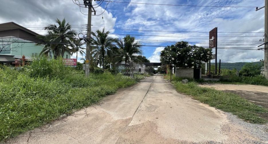 ขาย 1 เตียง ที่ดิน ใน วังทอง, พิษณุโลก