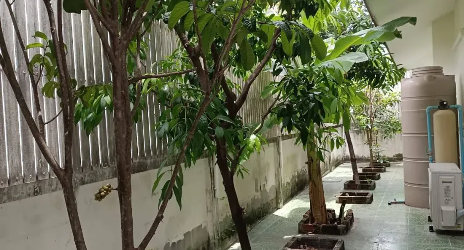 Аренда 3 спальни вилла в Mueang Chiang Mai, Чианг Маи