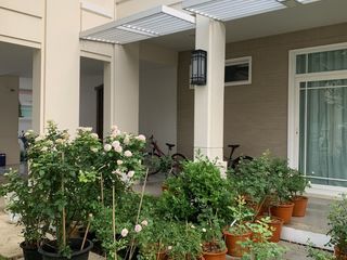 ขาย 4 ห้องนอน บ้านเดี่ยว ใน เมืองเชียงใหม่, เชียงใหม่
