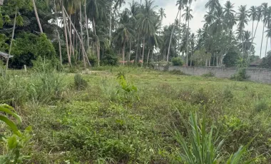 ขาย ที่ดิน ใน เกาะสมุย, สุราษฎร์ธานี